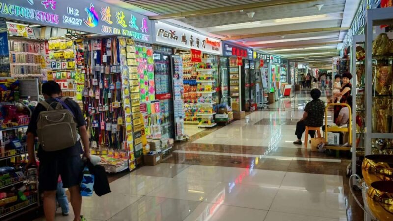 Exploring the World of Cheap Wholesale Markets: A Buyer’s Guide to Affordable Bulk Shopping